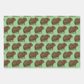 Feuille De Papier Cadeau Capybara (Devant 2)