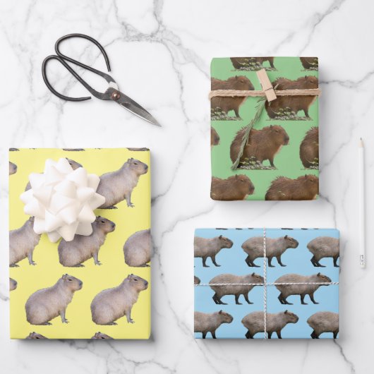 Feuille De Papier Cadeau Capybara (Recto)