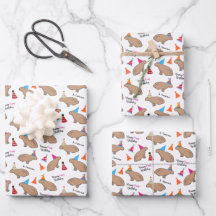 Capybara Anniversaire Enfants Personnalisé Blanc