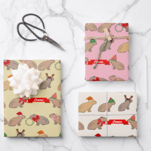 Feuille De Papier Cadeau Capybara mignon illustré à la main Noël rétro