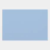 Feuille De Papier Cadeau Carolina bleu couleur solide (Devant)