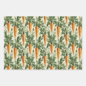 Feuille De Papier Cadeau Carotte Motif Spring Jardin Découpage (Devant 2)