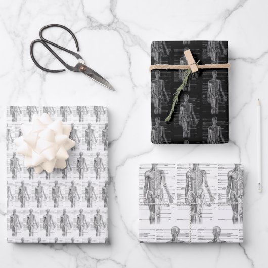 Feuille De Papier Cadeau Carte médicale d'anatomy (Recto)