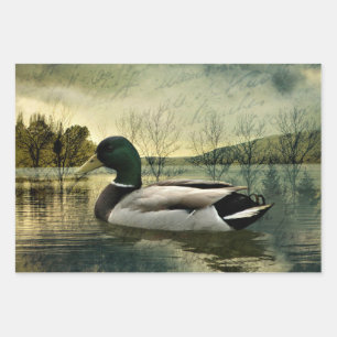 Feuille De Papier Cadeau Carte postale Patinée vintage Mallard Duck