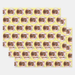 Feuille De Papier Cadeau Casquettes du parti Alpaca