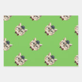 FEUILLE DE PAPIER CADEAU CAT DAPPER (Devant 3)