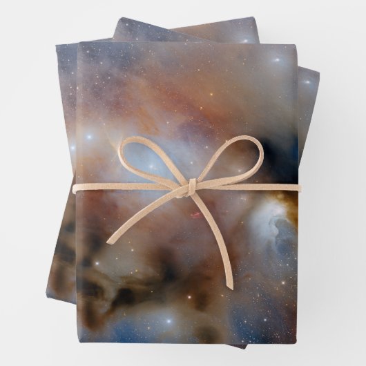 Feuille De Papier Cadeau Chamaeleon I Dark Cloud (En situation)