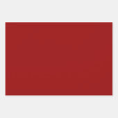 Feuille De Papier Cadeau Champignons de fête (Devant 2)