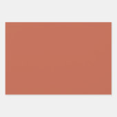 Feuille De Papier Cadeau Champignons en Marche (Devant 2)