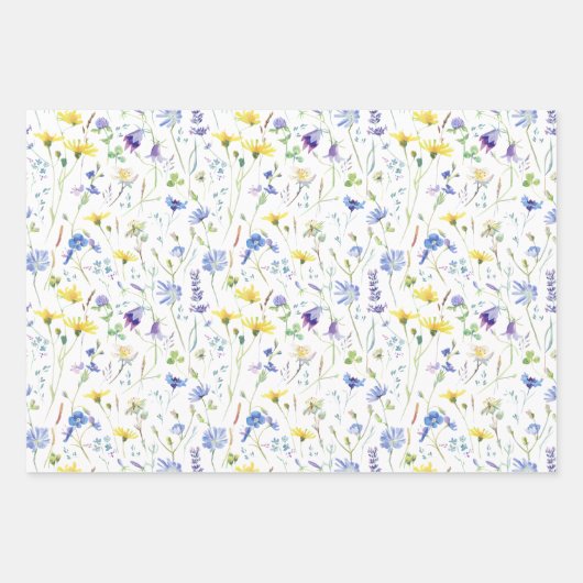 Feuille De Papier Cadeau Charme Rustique Agricole Poulets Floral (Devant 2)