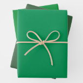 Feuille De Papier Cadeau Chasseur espagnol clair Texas Green Tones 3 Tones (En situation)