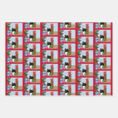Feuille De Papier Cadeau Chat Tuxedo (Devant 3)
