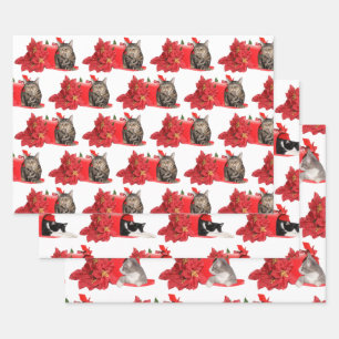 Feuille De Papier Cadeau Chats dans la boîte aux lettres de Noël