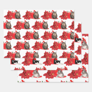 Feuille De Papier Cadeau Chats dans la boîte aux lettres de Noël