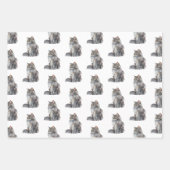 Feuille De Papier Cadeau Chats Kitty Grey (Devant 2)