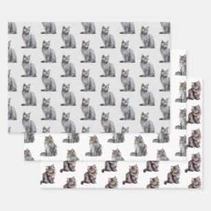 Feuille De Papier Cadeau Chats Kitty Grey