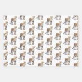 Feuille De Papier Cadeau Cheetah (Devant 3)