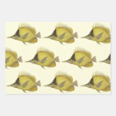 Feuille De Papier Cadeau Chelmon Tropical Jaune Longirostris, Poisson Vinta (Devant 3)