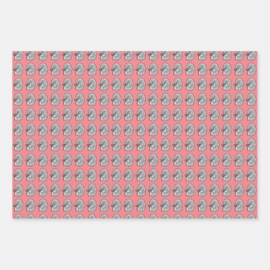 Feuille De Papier Cadeau Chemins, couleur rose, (Devant)