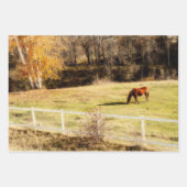 Feuille De Papier Cadeau Cheval Pays Rustique Automne Découpage (Devant 3)