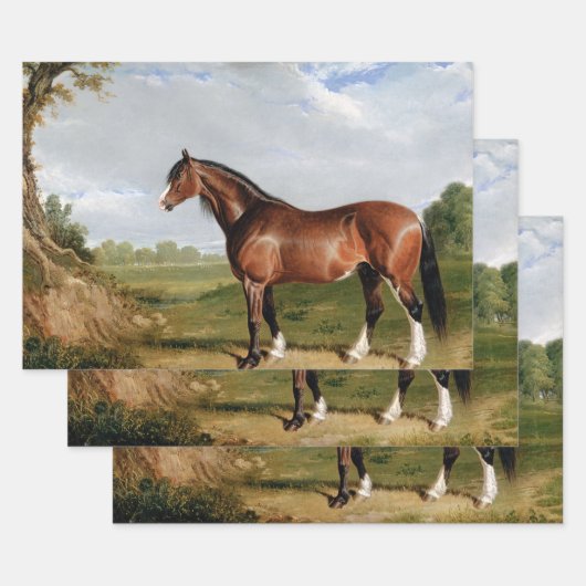 Feuille De Papier Cadeau Cheval Peinture à l'huile équestre Découpage Vinta (Lot)