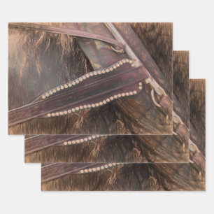 Feuille De Papier Cadeau Cheval Western Brown Vintage rustique Découpage