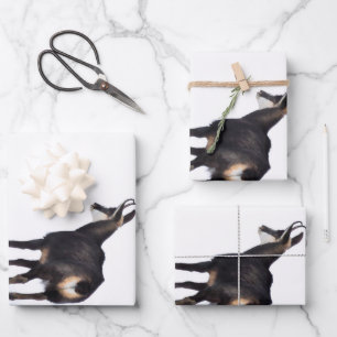 Feuille De Papier Cadeau Chèvre montagneuse minimaliste chamois alpin sur n