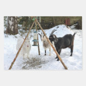 Feuille De Papier Cadeau Chèvres - Photo d'alimentation de neige (Devant 3)