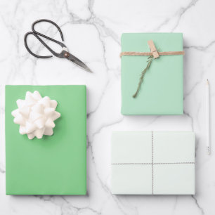 Feuille De Papier Cadeau Chic Moderne Vert clair Simple Solide Tons