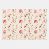 Feuille De Papier Cadeau Chic Red Cream Love Hearts Mariage (Devant 2)