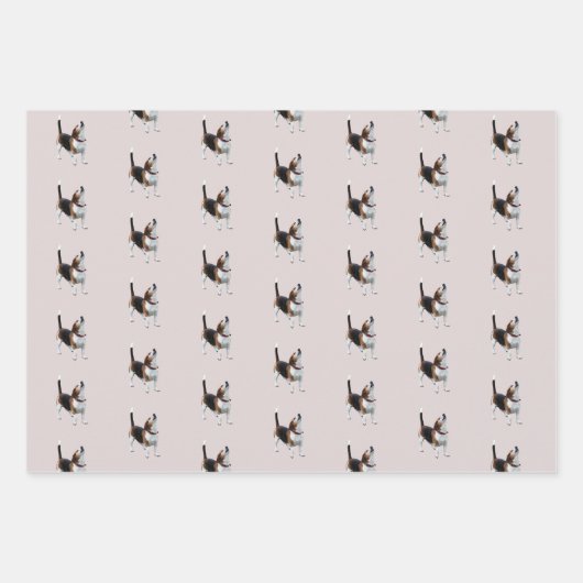 Feuille De Papier Cadeau Chien Beagle mignon hurlant   (Devant 2)