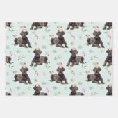 Feuille De Papier Cadeau Chien Floral Great Dane Motif, Chien Fan Cadeau (Devant 2)