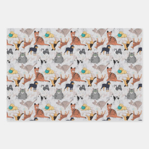 Feuille De Papier Cadeau Chiens Et Chats Cutes Design Motif