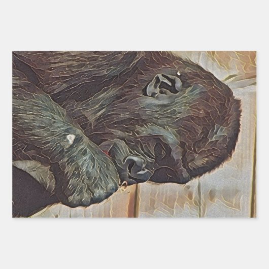 FEUILLE DE PAPIER CADEAU CHIMP ART (Devant)