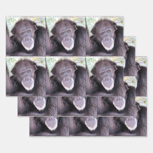 Feuille De Papier Cadeau Chimpanzé toutes les occasions (Lot)