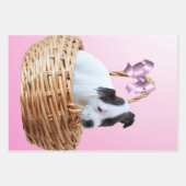 Feuille De Papier Cadeau Chiot Du Staffordshire Dans Un Panier, (Devant 3)