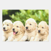 Feuille De Papier Cadeau Chipies Golden Retriever en ligne (Devant 3)