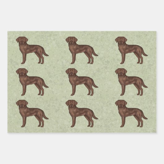 Feuille De Papier Cadeau Chocolat Labrador Retriever Lab Chien Motif Vert (Devant 2)