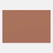 Feuille De Papier Cadeau Chocolat ordinaire Oiseaux Tons Brown 3 Tones (Devant 3)