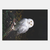 Feuille De Papier Cadeau Chouette hivernale majestueuse (Devant 3)