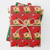 Feuille De Papier Cadeau Chow Chow Noël (En situation)