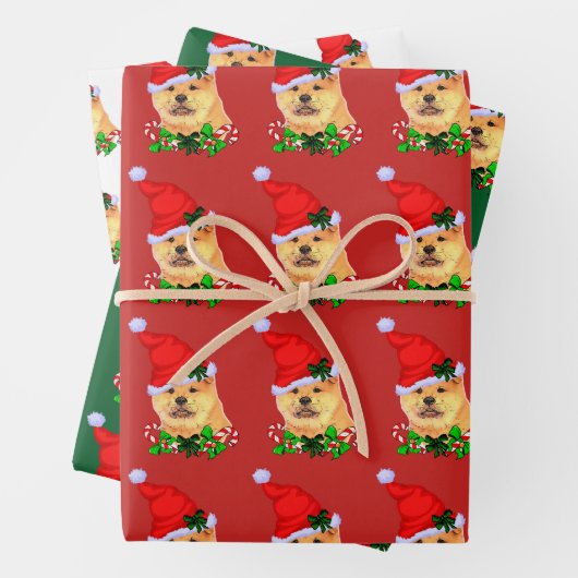 Feuille De Papier Cadeau Chow Chow Noël (En situation)