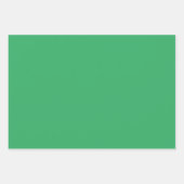 Feuille De Papier Cadeau Christmas Frog Rock Band and Solides Green & Red (Devant 2)