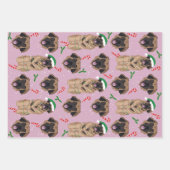 Feuille De Papier Cadeau Christmas Leonberger (Devant)