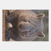Feuille De Papier Cadeau Chubby The Australian Wombat, (Devant 3)