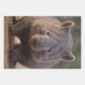 Feuille De Papier Cadeau Chubby The Australian Wombat, (Devant)