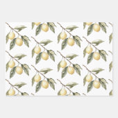 Feuille De Papier Cadeau Citrons Sicile Russe Brown stries Anniversaire (Devant 3)