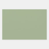 Feuille De Papier Cadeau Citrouille Floral Chute Beige Sage (Devant 2)