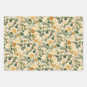 Feuille De Papier Cadeau Citrus Botanique Noël (Devant 2)