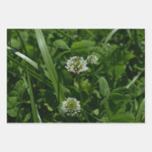 Feuille De Papier Cadeau Clocher blanc dans une prairie verte (Devant 2)